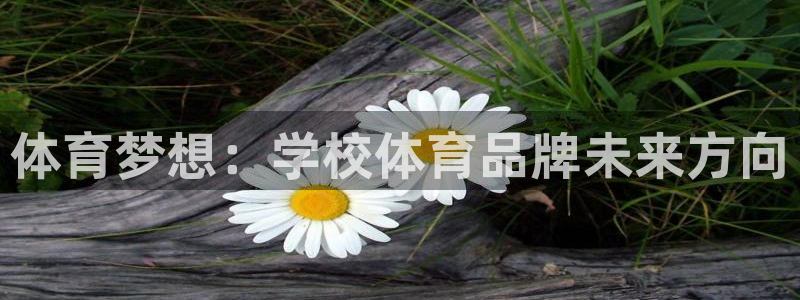 球客岛