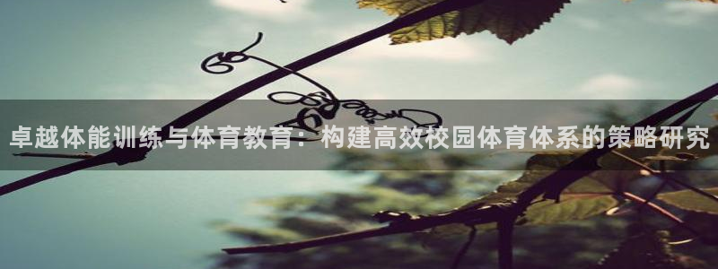 球客岛：卓越体能训练与体育教育：构建高效校园体育体系的策略研究