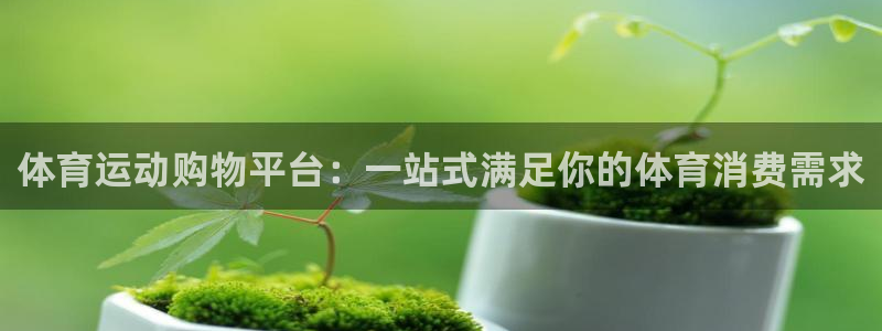 球客岛