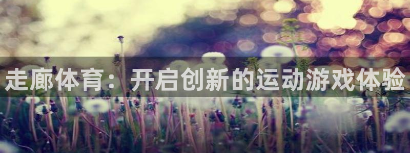 球客岛：走廊体育：开启创新的运动游戏体验