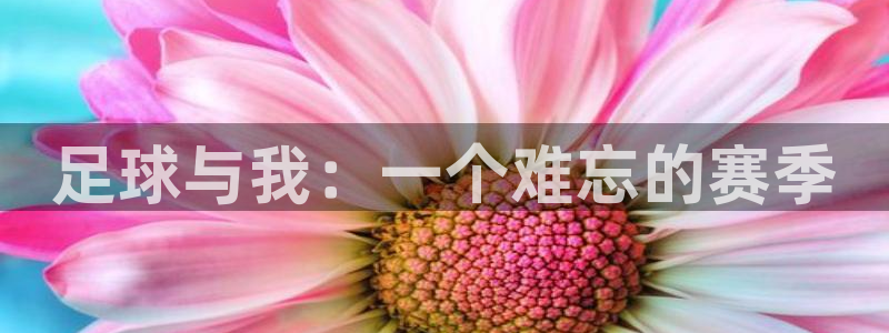 球客岛