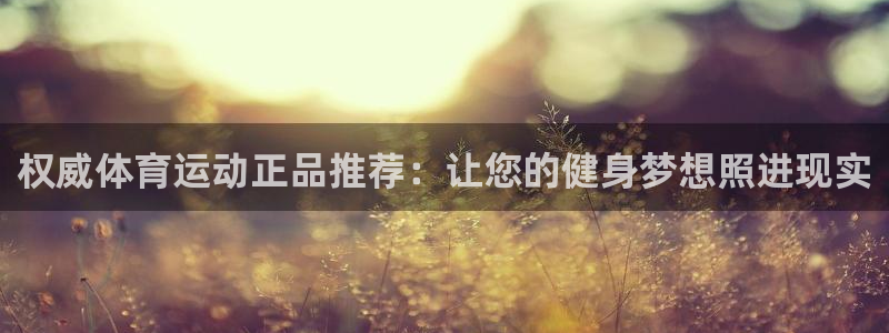 球客岛：权威体育运动正品推荐：让您的健身梦想照进现实