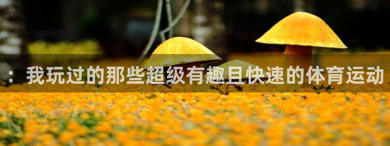 球客岛：：我玩过的那些超级有趣且快速的体育运动